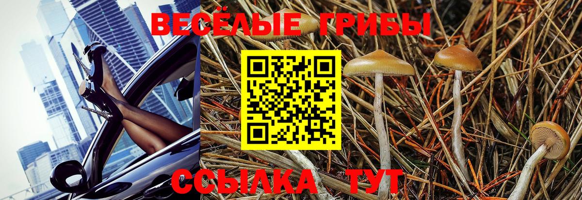 Галлюциногенные грибы прущие грибы Вязьма