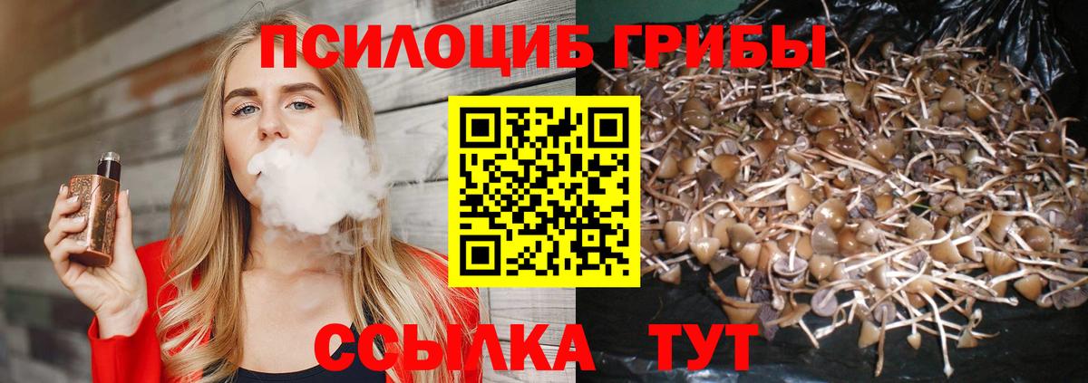 Вязьма  Псилоцибиновые грибы мицелий  Вход с VPN 